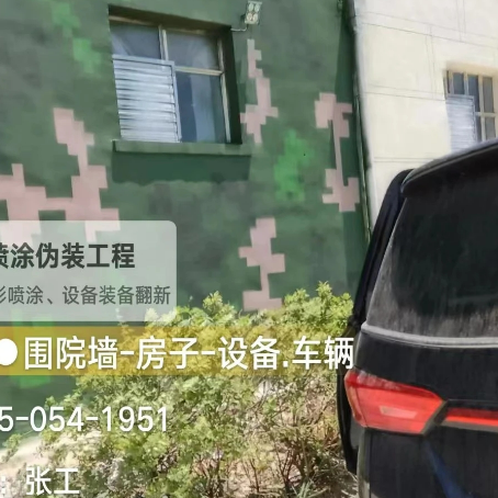 秦皇岛数码迷彩漆施工
